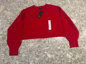 Wild Fable Red Long Sleeve Crop Sweater Size S